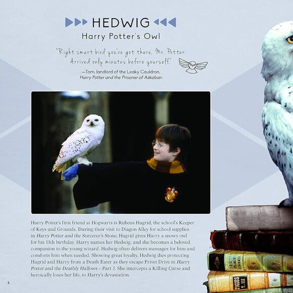 Harry Potter Hedwig 3D Wood Model and Movie Book - Wizarding World Gifts - Picture 6 of 6